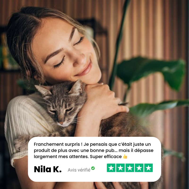 Neko Brush PRO